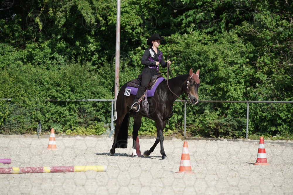 s_APF06785.jpg